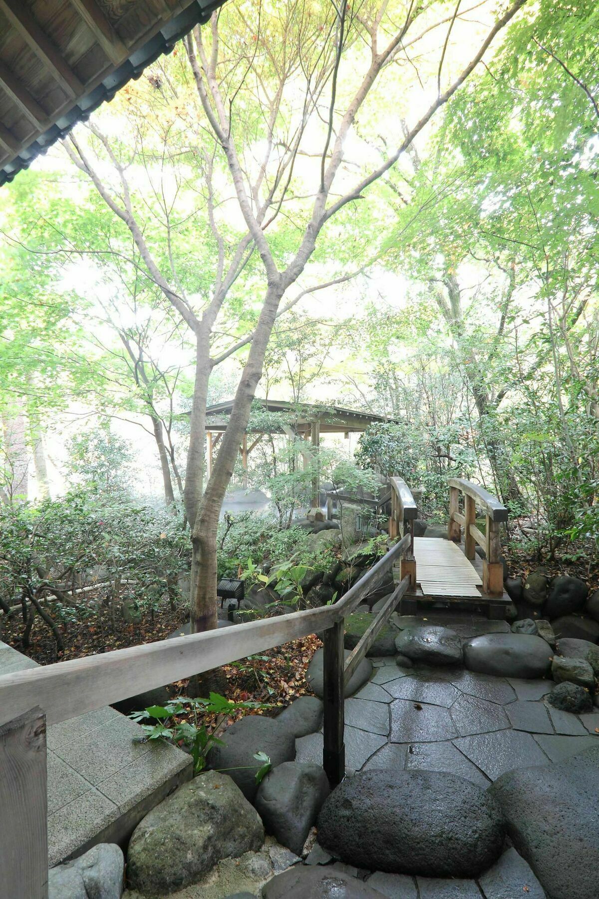 ניקו Kinugawa Onsen Hana No Yado Matsuya מראה חיצוני תמונה